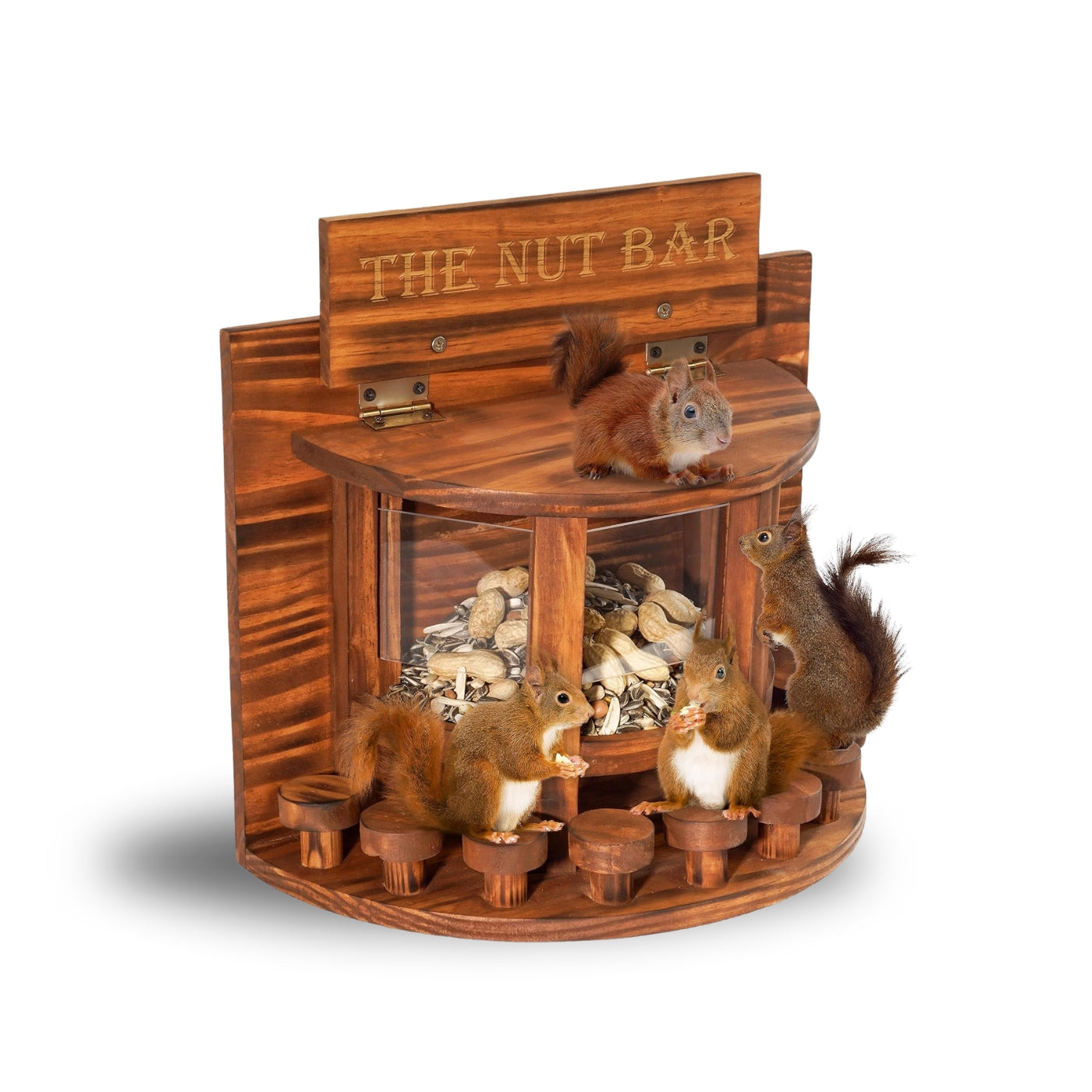Squirrel Feeder