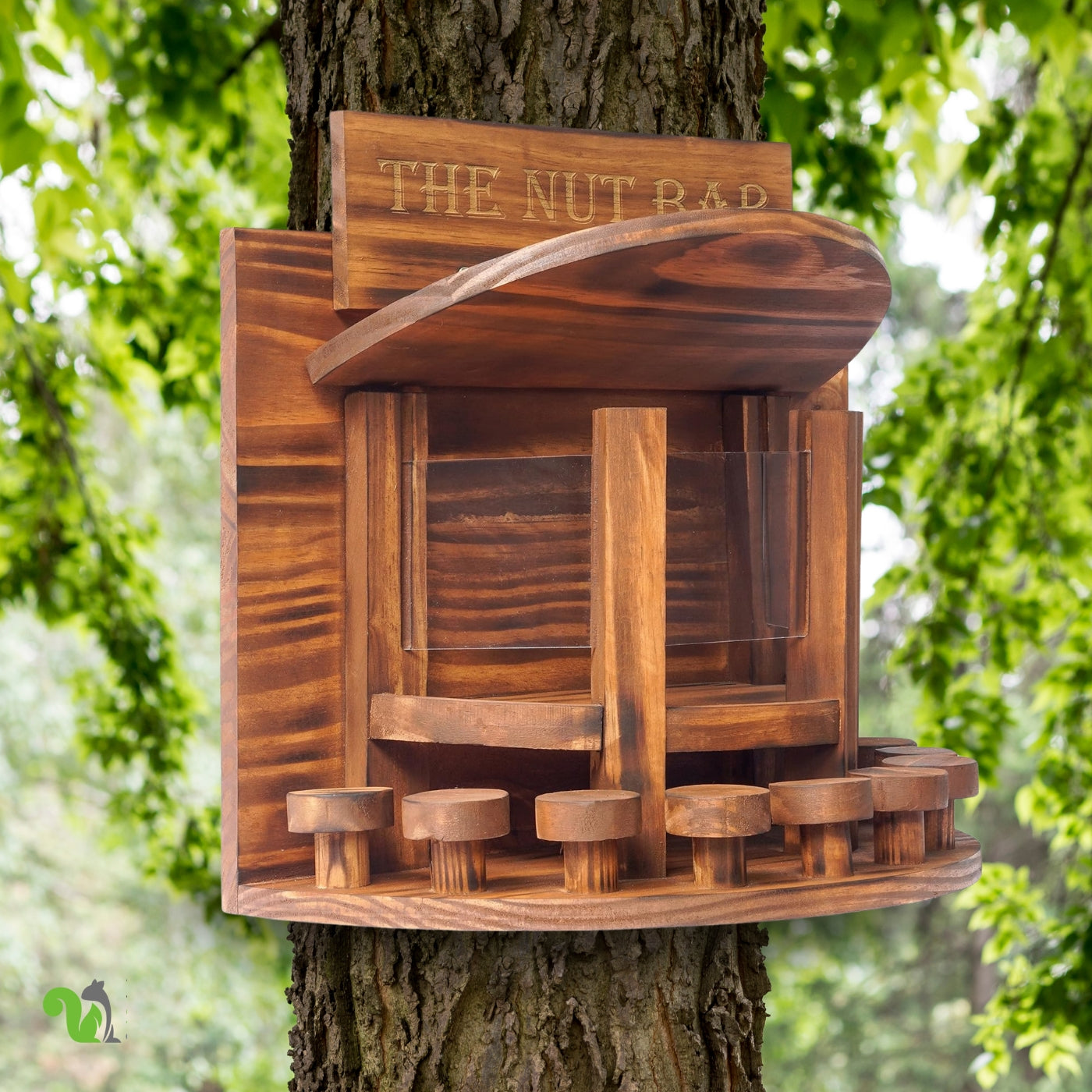 Squirrel Feeder