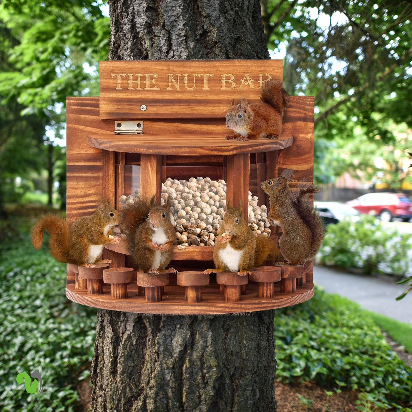Squirrel Feeder