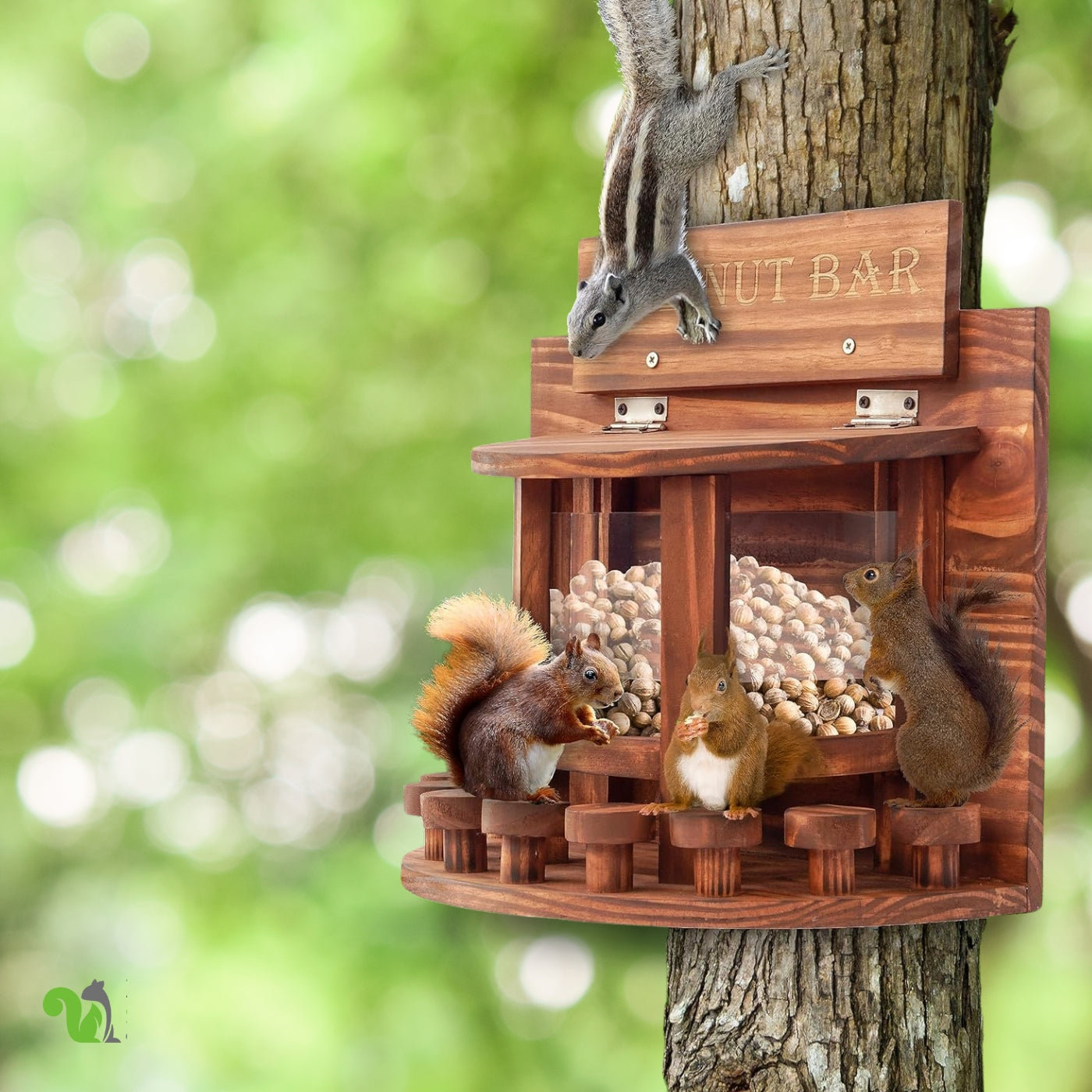 Squirrel Feeder