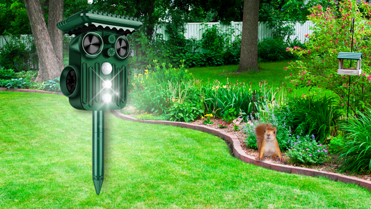 ultrasonic solar squirrel repellent