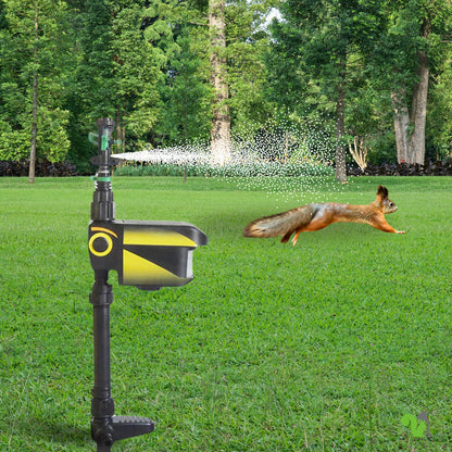 Motion-Activated Squirrel Sprinkler