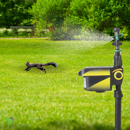 Motion-Activated Squirrel Sprinkler