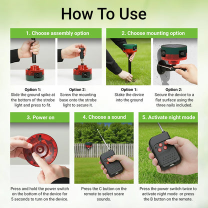 Motion-Activated Strobe Light for Squirrels
