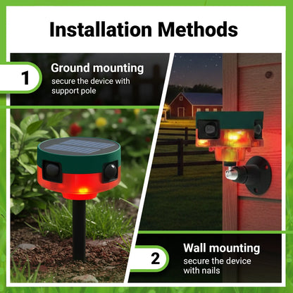 Motion-Activated Strobe Light for Squirrels