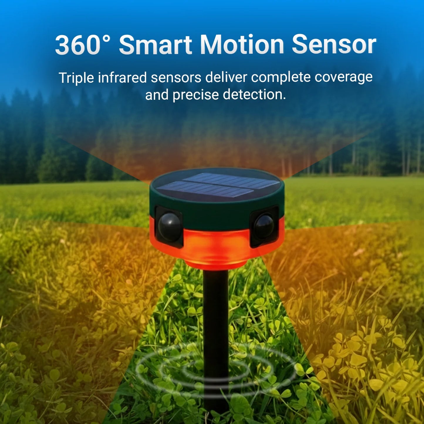 Motion-Activated Strobe Light for Squirrels
