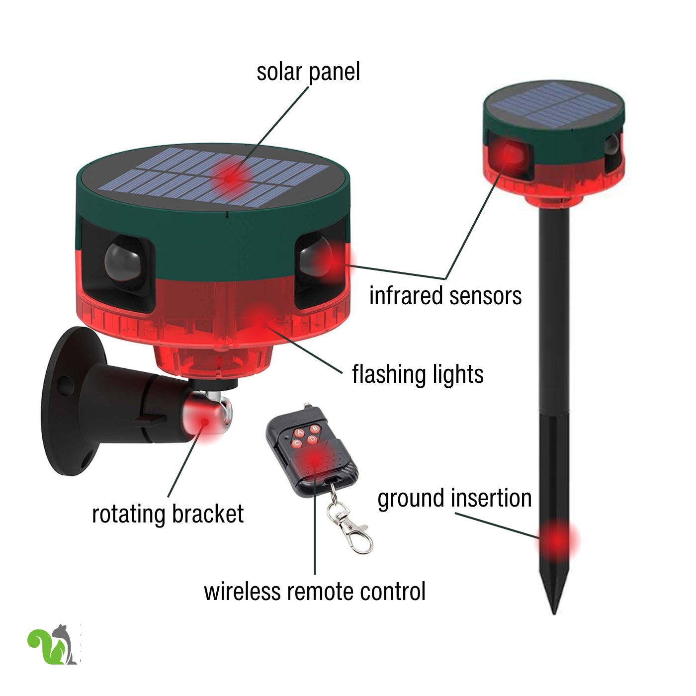 Motion-Activated Strobe Light for Squirrels