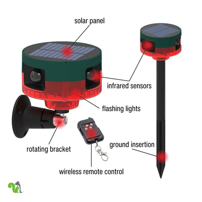 Motion-Activated Strobe Light for Squirrels