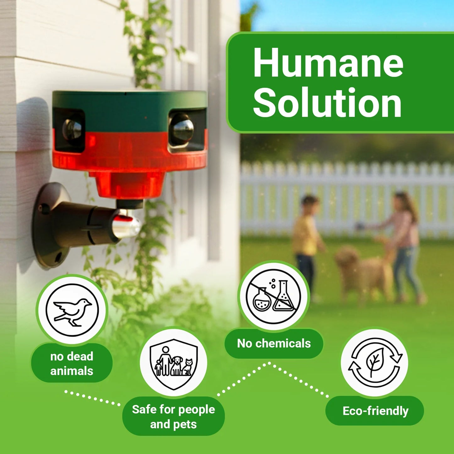Motion-Activated Strobe Light for Squirrels