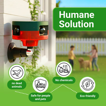 Motion-Activated Strobe Light for Squirrels