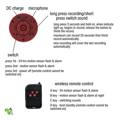 Motion-Activated Strobe Light for Squirrels