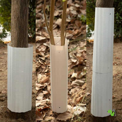 Squirrel Tree Baffle 6 Pack