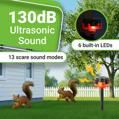 Motion-Activated Strobe Light for Squirrels