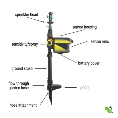 Motion-Activated Squirrel Sprinkler