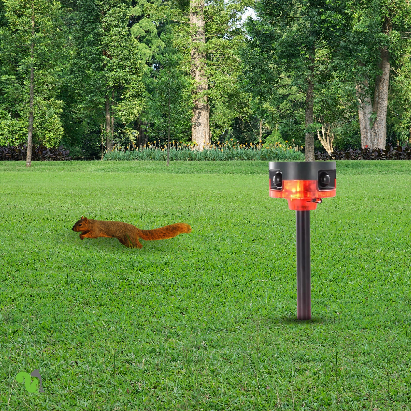 Motion-Activated Strobe Light for Squirrels