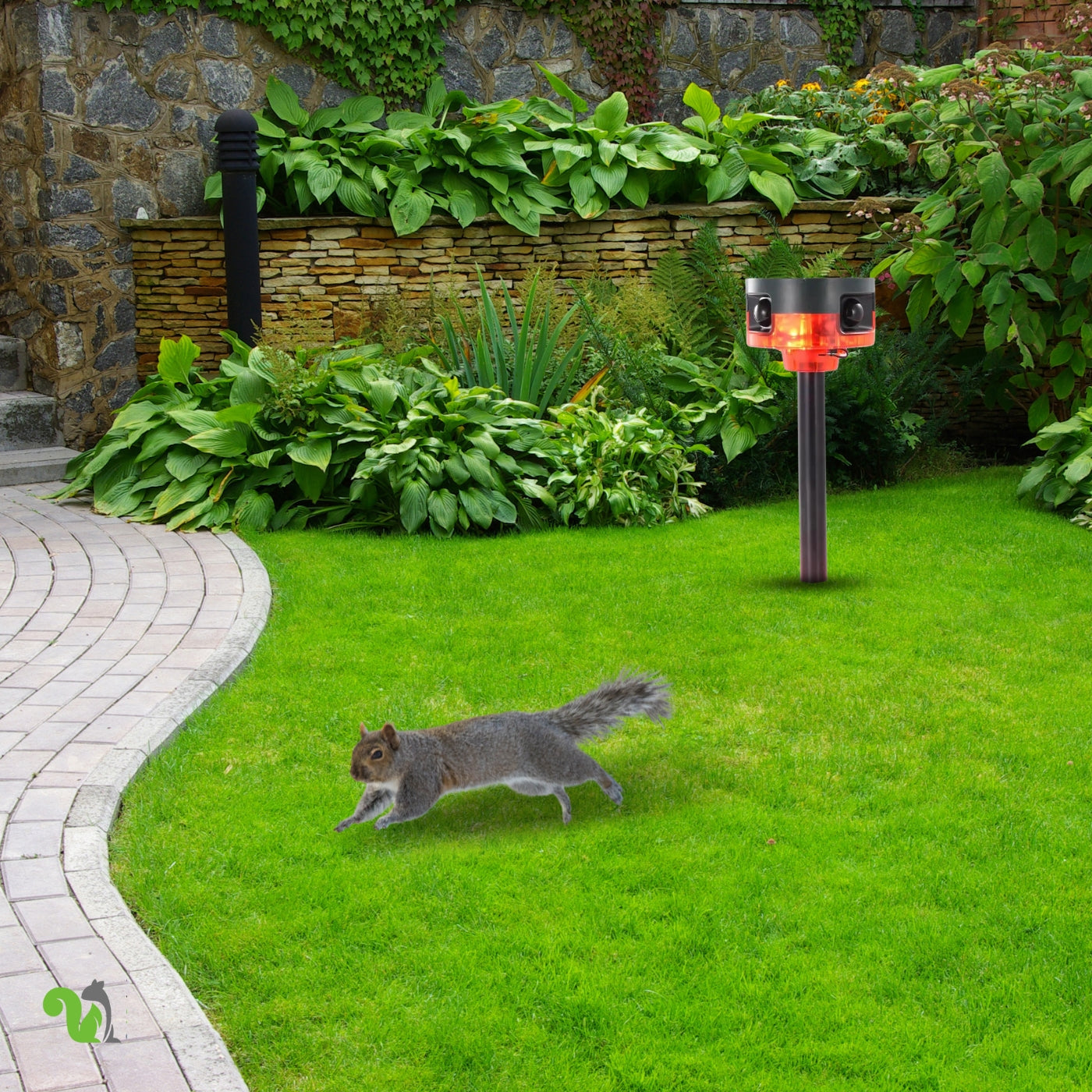 Motion-Activated Strobe Light for Squirrels