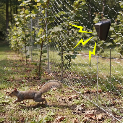 Squirrel Fortress Guard