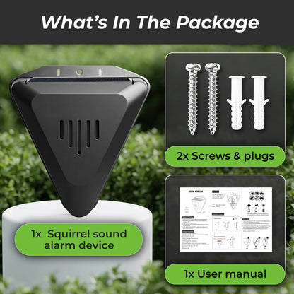 Squirrel Fortress Guard